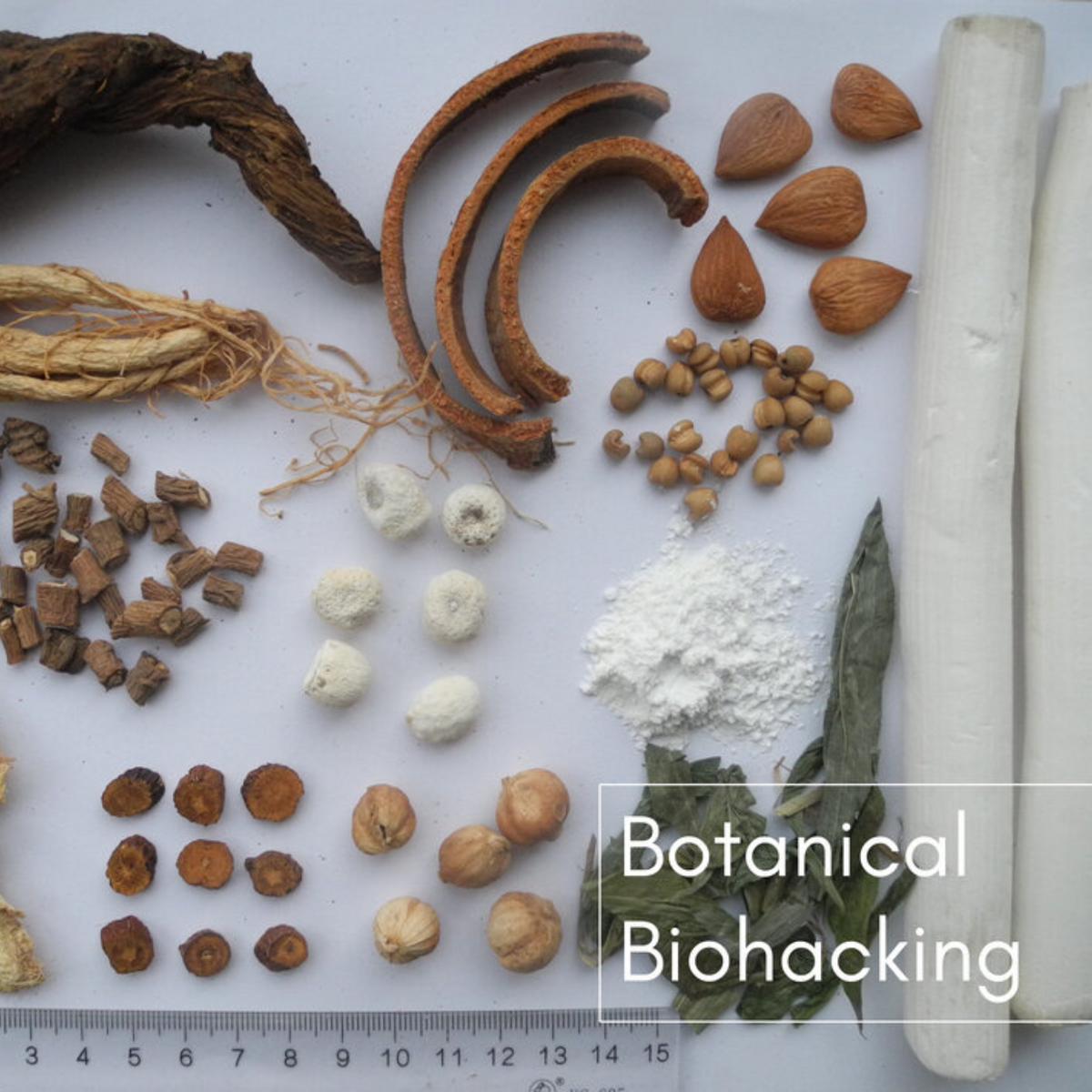 Collections – Botanical Biohacking