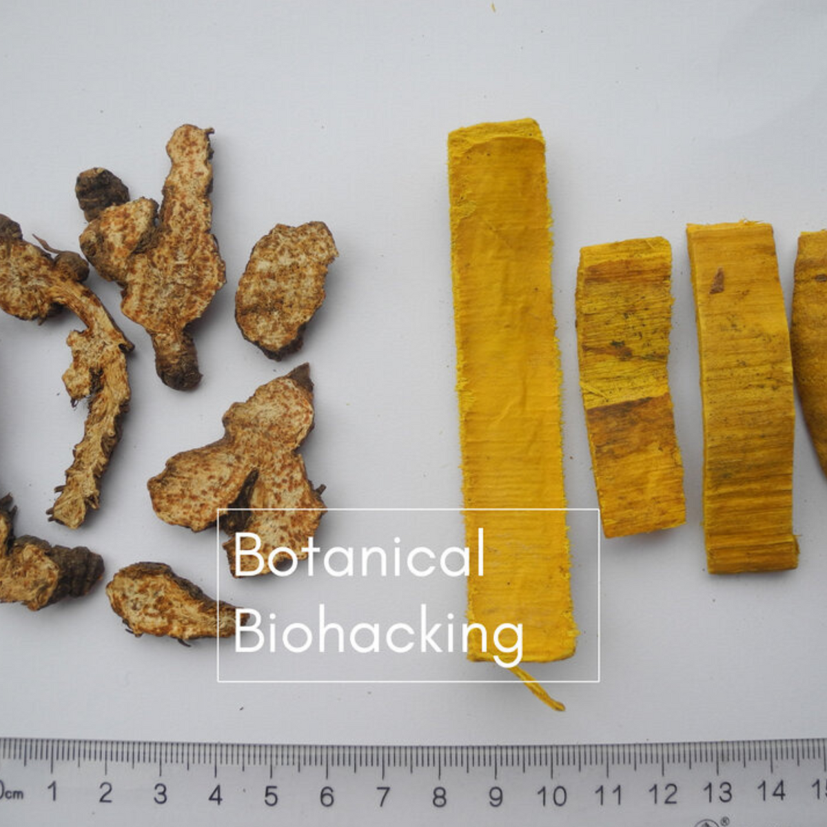Collections – Botanical Biohacking